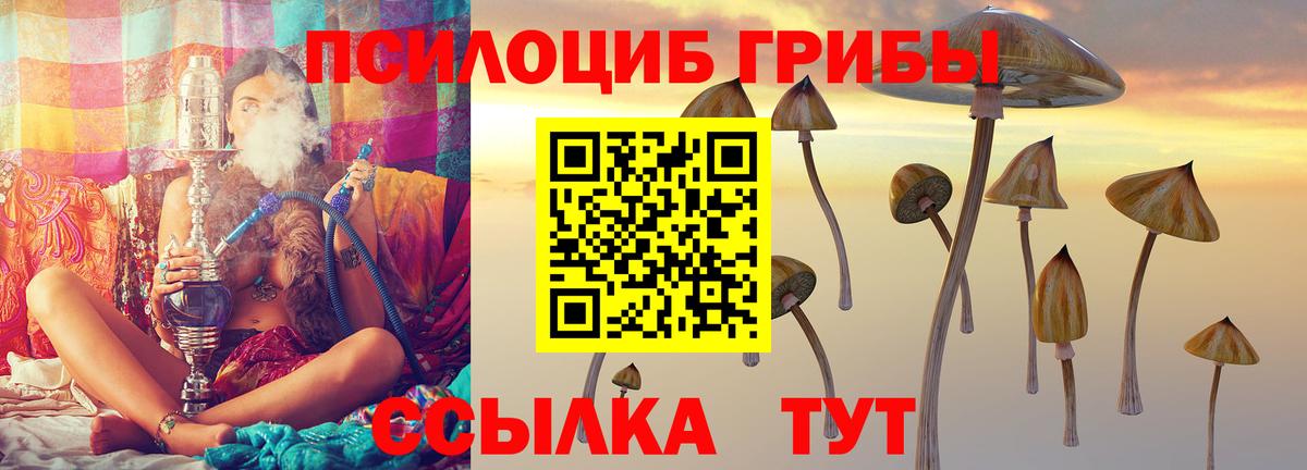 Галлюциногенные грибы Psilocybe  Вход с VPN  Псилоцибиновые грибы прущие грибы  Альметьевск 